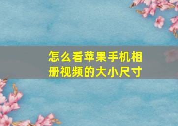 怎么看苹果手机相册视频的大小尺寸