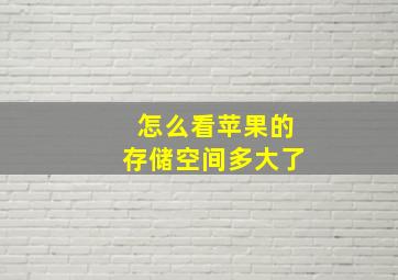 怎么看苹果的存储空间多大了