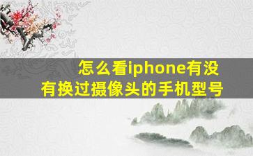 怎么看iphone有没有换过摄像头的手机型号