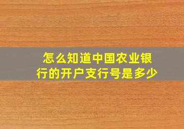 怎么知道中国农业银行的开户支行号是多少