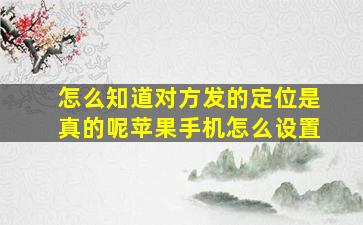 怎么知道对方发的定位是真的呢苹果手机怎么设置