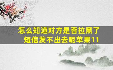 怎么知道对方是否拉黑了短信发不出去呢苹果11