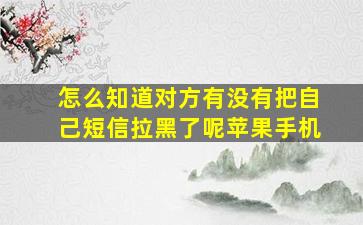 怎么知道对方有没有把自己短信拉黑了呢苹果手机