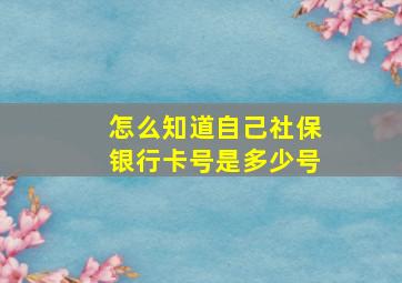 怎么知道自己社保银行卡号是多少号