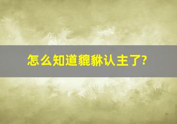 怎么知道貔貅认主了?