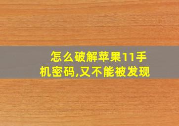 怎么破解苹果11手机密码,又不能被发现