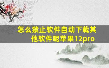 怎么禁止软件自动下载其他软件呢苹果12pro