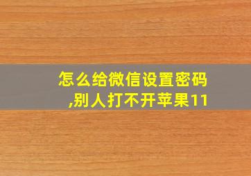 怎么给微信设置密码,别人打不开苹果11