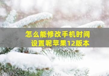 怎么能修改手机时间设置呢苹果12版本