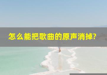 怎么能把歌曲的原声消掉?