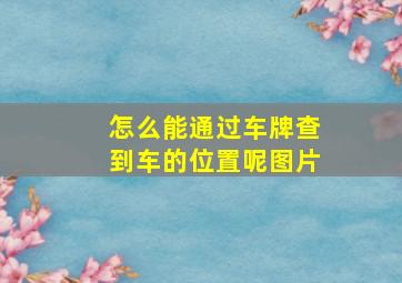 怎么能通过车牌查到车的位置呢图片