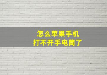 怎么苹果手机打不开手电筒了