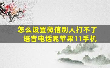 怎么设置微信别人打不了语音电话呢苹果11手机