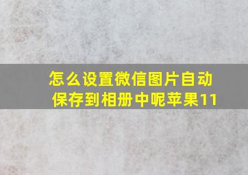 怎么设置微信图片自动保存到相册中呢苹果11