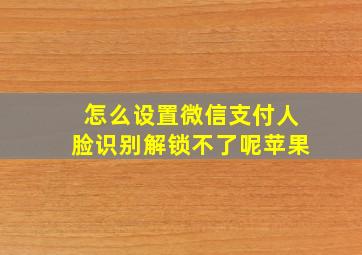 怎么设置微信支付人脸识别解锁不了呢苹果