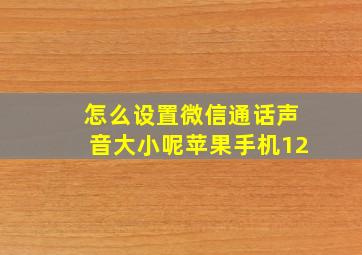 怎么设置微信通话声音大小呢苹果手机12