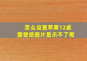 怎么设置苹果12桌面壁纸图片显示不了呢