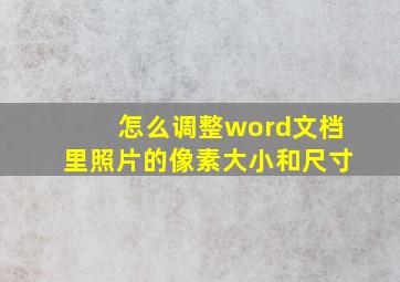 怎么调整word文档里照片的像素大小和尺寸