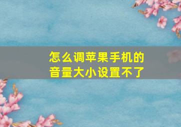 怎么调苹果手机的音量大小设置不了