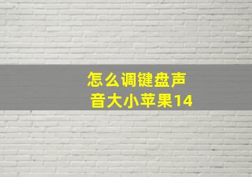 怎么调键盘声音大小苹果14