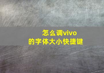 怎么调vivo的字体大小快捷键