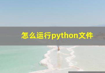 怎么运行python文件