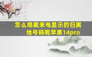 怎么隐藏来电显示的归属地号码呢苹果14pro