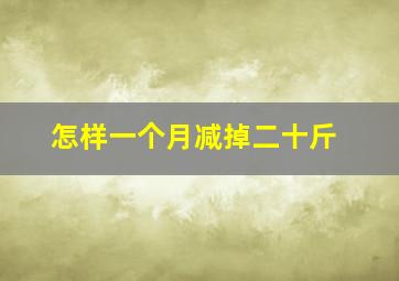 怎样一个月减掉二十斤