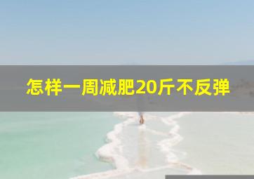 怎样一周减肥20斤不反弹