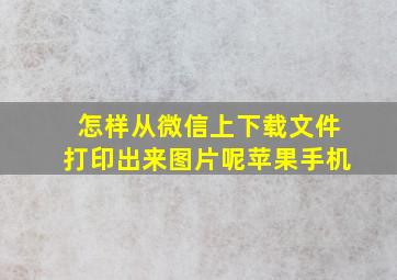 怎样从微信上下载文件打印出来图片呢苹果手机