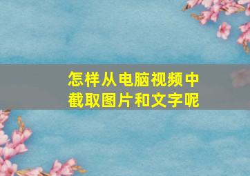 怎样从电脑视频中截取图片和文字呢