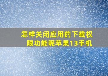 怎样关闭应用的下载权限功能呢苹果13手机