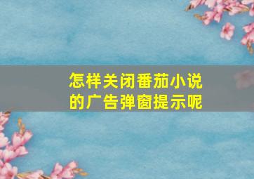 怎样关闭番茄小说的广告弹窗提示呢