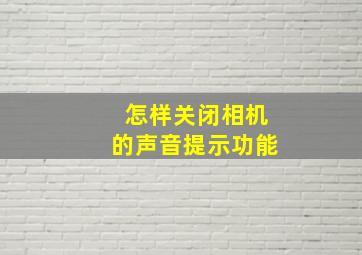 怎样关闭相机的声音提示功能