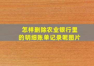 怎样删除农业银行里的明细账单记录呢图片