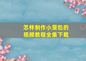 怎样制作小笼包的视频教程全集下载