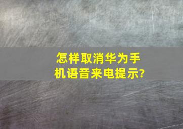 怎样取消华为手机语音来电提示?