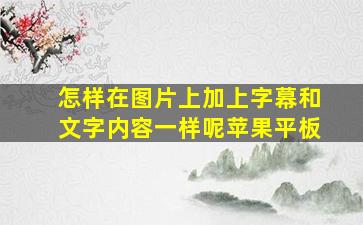 怎样在图片上加上字幕和文字内容一样呢苹果平板