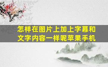 怎样在图片上加上字幕和文字内容一样呢苹果手机