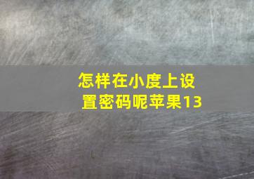 怎样在小度上设置密码呢苹果13