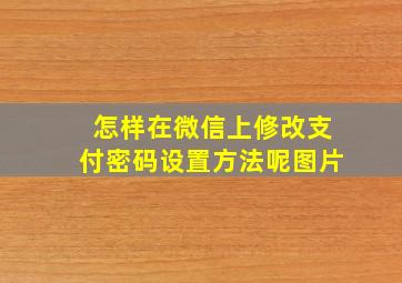 怎样在微信上修改支付密码设置方法呢图片