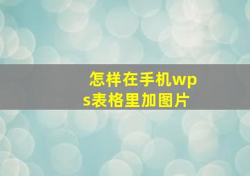 怎样在手机wps表格里加图片