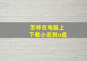 怎样在电脑上下载小说到u盘