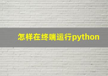 怎样在终端运行python