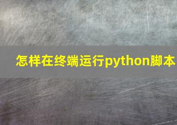 怎样在终端运行python脚本