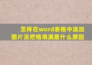 怎样在word表格中添加图片没把格填满是什么原因