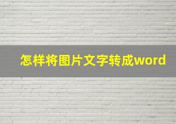 怎样将图片文字转成word