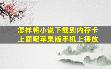 怎样将小说下载到内存卡上面呢苹果版手机上播放