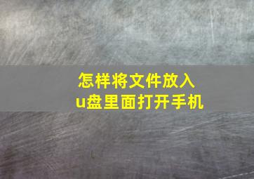 怎样将文件放入u盘里面打开手机