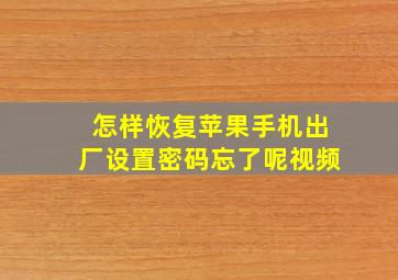 怎样恢复苹果手机出厂设置密码忘了呢视频